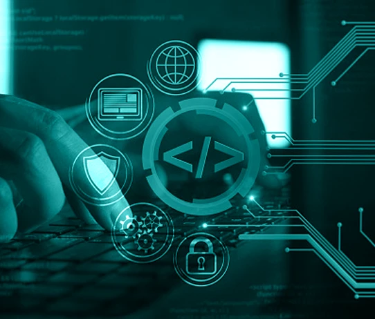 wordpress-development